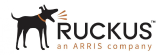 Ruckus (an Arris company)